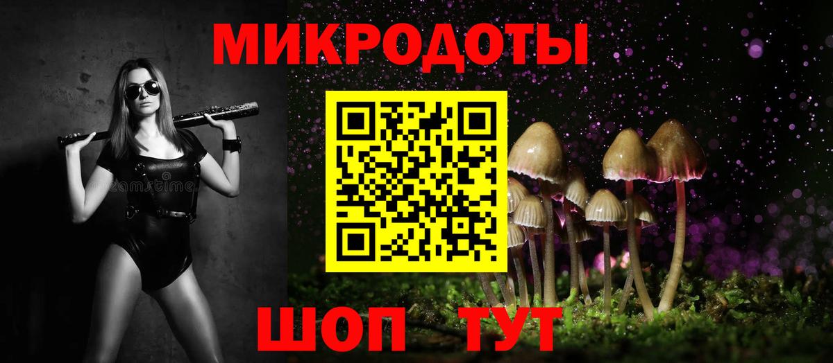 Галлюциногенные грибы Psilocybine cubensis Новозыбков