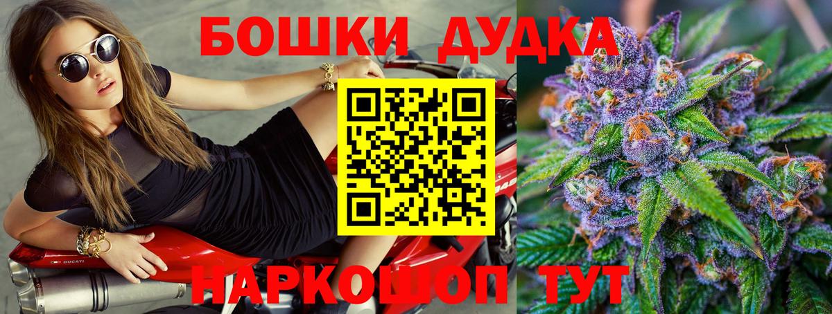Конопля тримм  Вход с VPN  Бошки марихуана план  Бошки марихуана Ganja  Бошки Шишки White Widow  Новозыбков 